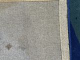 a picture of a picture of a blue and green carpet