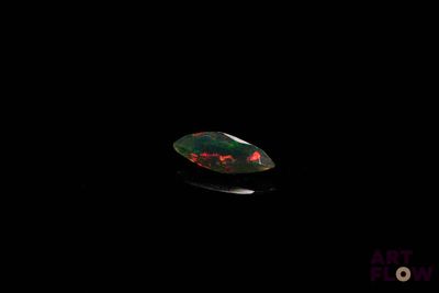 an oplite in the dark with a black background