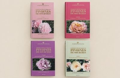 three books on a white surface with pink and purple flowers on them