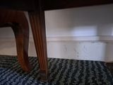 a cat that is sitting on a rug under a table