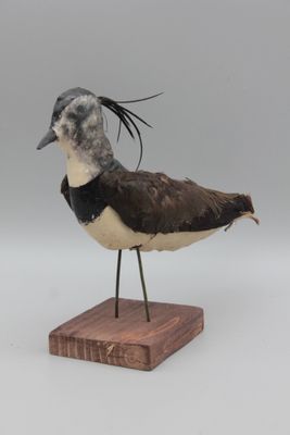 un petit oiseau posé sur un socle en bois
