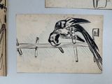 a drawing of a bird sitting on top of a table