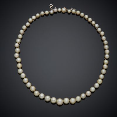 Collier à un rang de cinquante-six perles fines en chute, montées sur 