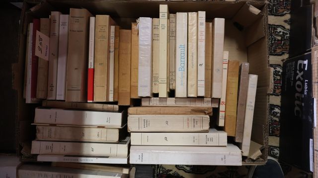 Lot de livres de littérature dont ALAIN, Claude MAURIAC et divers...