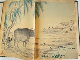 an open book with a picture of a cow on it