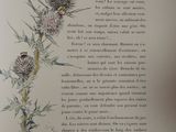 a picture of a book with a picture of a thistle plant on it