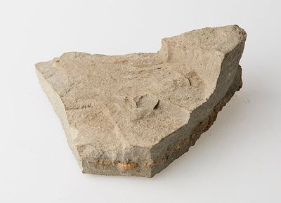 a stone object on a white surface with a white background