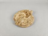 an image of a piece of gold on a white surface