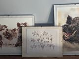 trois photos d'animaux encadrées, posées les unes à côté des autres sur une étagère