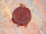 a red wax seal on top of a marbled surface