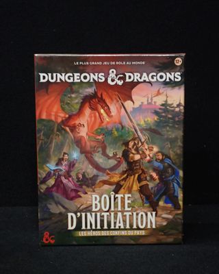 Donjons et Dragons : La Bataille du D' (imitation)
