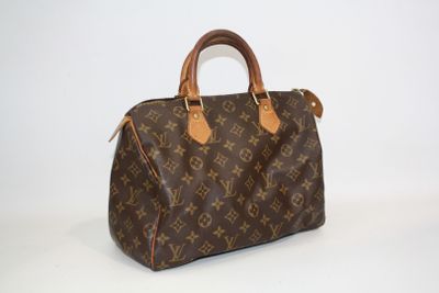 une image d'un sac à main Louis Vuitton sur fond blanc