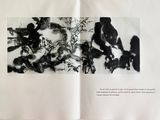 un livre ouvert sur lequel figurent des dessins en noir et blanc