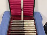 a case with a set of knives inside of it