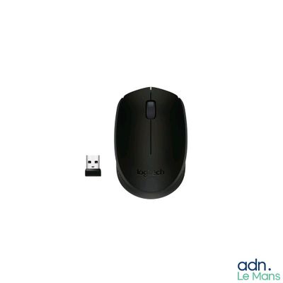 a picture of a computer mouse and a usb drive
