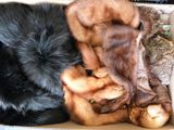 a lot of furs in a cardboard box on the floor