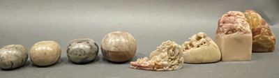 a lot of shells that are sitting on a table