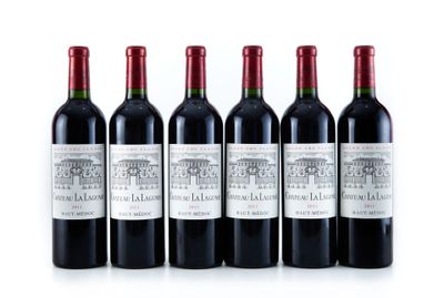 six bouteilles de vin rouge alignées sur une surface blanche