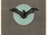 an old movie poster of a bat flying through the air