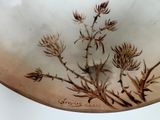 a picture of a bowl that has a plant on it