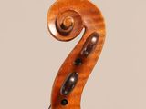 a close up of the back of a violin with a fiddle in the foreground