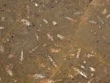 a picture of a dirt floor with a lot of dirt on it