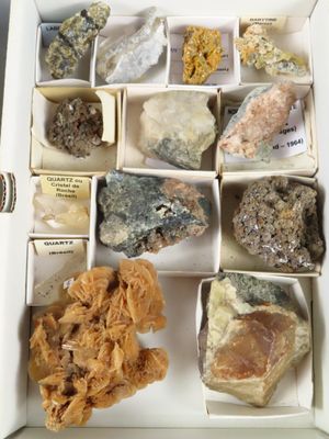 une boîte remplie de différentes sortes de roches et de minéraux