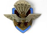une image représentant un pin's bleu et or orné d'un aigle