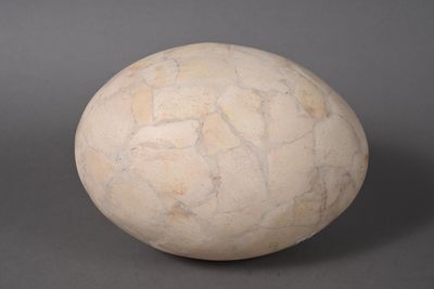 a white stone ball on a gray surface
