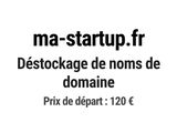 Photo 1/1 du lot