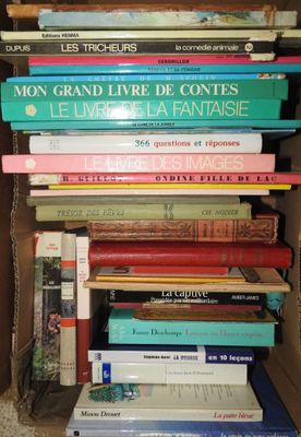 plusieurs livres empilés dans une boîte