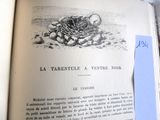 un livre ouvert sur lequel figure l'image d'un nid d'oiseau