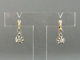 a pair of silver and gold earrings on a clear stand