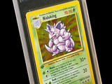 une image d'une carte Pokémon dans un étui en plastique