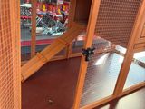 a cat sitting inside of a cat house in a store
