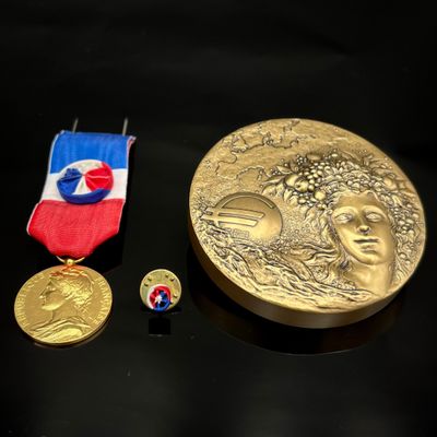 une médaille d'or, une médaille et un insigne posés sur une table