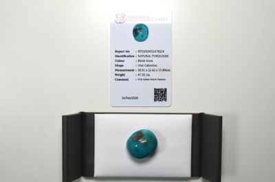 une photo d'un morceau de turquoise exposé