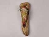 un oiseau perché sur un morceau de bois