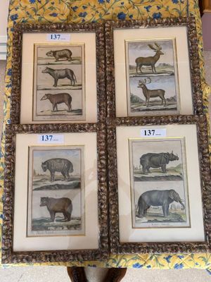 quatre photos encadrées représentant des animaux, posées sur une table recouverte d'une nappe jaune à motifs floraux