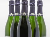 six bouteilles de vin sont alignées sur une surface blanche