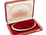 a red case with a gold plated necklace in it