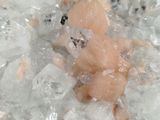 a baby doll in a pile of ice on a table