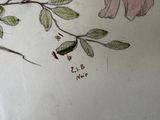 a drawing of a bear sitting on a tree branch
