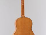 a close up of a guitar hanging from the ceiling