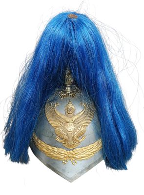 helmet with a blue wig and a golden eagle on it