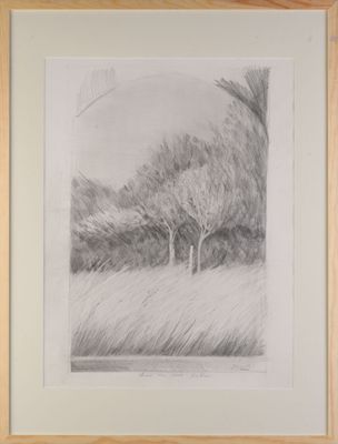 pencil drawing of a landscape with trees and grass in a wooden frame