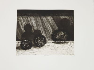 photographie en noir et blanc représentant trois hérissons devant une cascade
