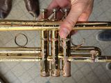 a person holding a brass trumpet in their hand