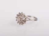 a white gold ring with a cluster of diamonds in the center