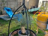 a potted plant in the middle of a plant stand